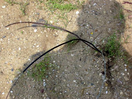 Auto Theatre - Speaker Wires - Photo From Water Winter Wonderland (newer photo)